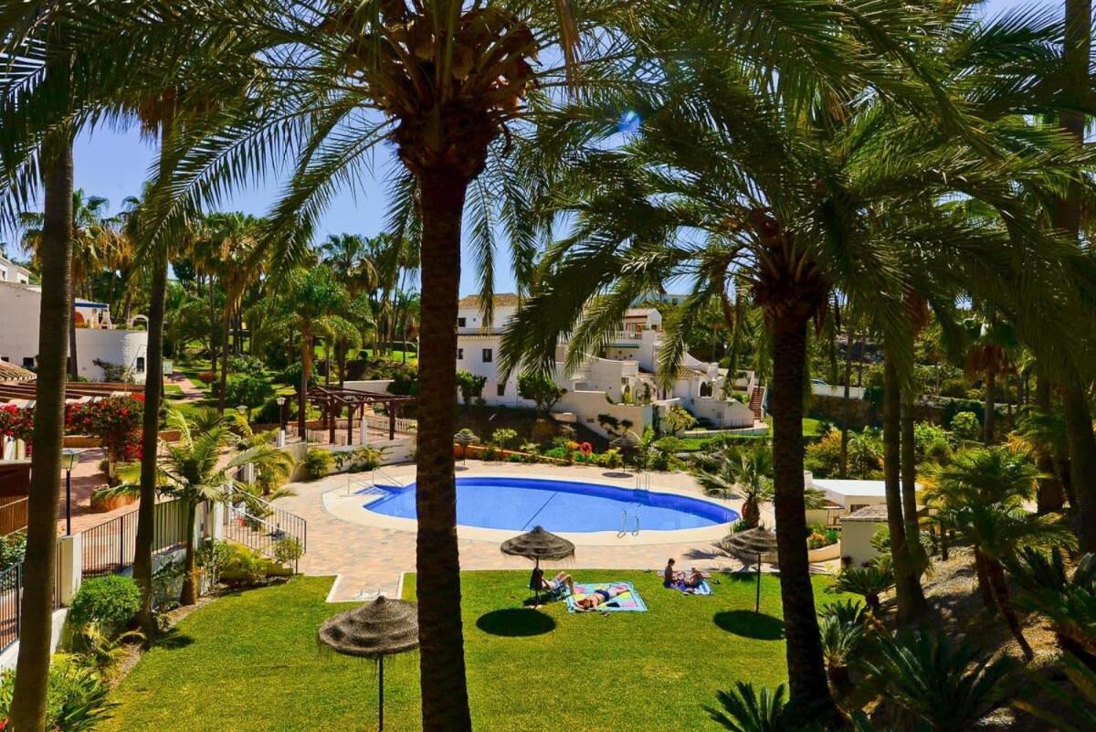 Oasis *